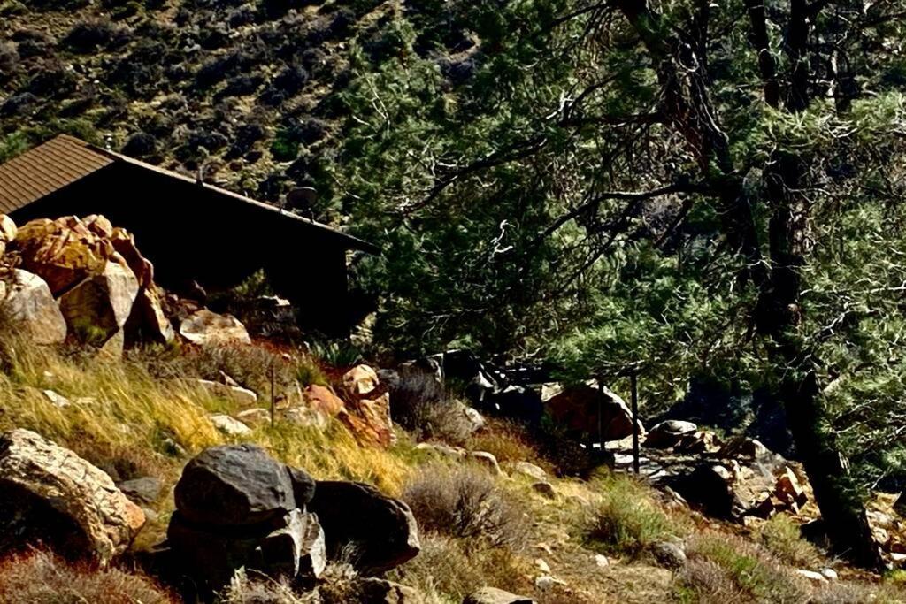 Stunning Views Total Privacy Absolute Tranquility Βίλα Wofford Heights Εξωτερικό φωτογραφία