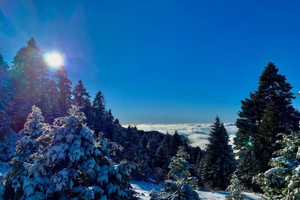 Stunning Views Total Privacy Absolute Tranquility Βίλα Wofford Heights Εξωτερικό φωτογραφία